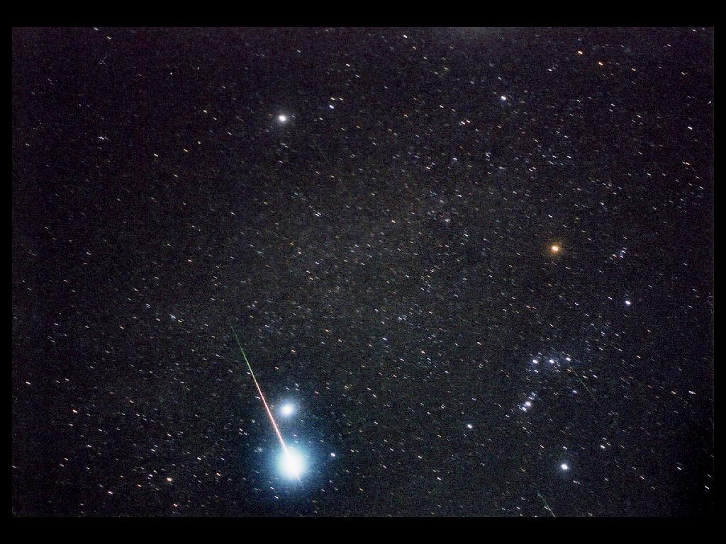 わかさぎの蔵　流星群 Amazon.co.jp: わかさぎの蔵 流星群 1番星 ワカサギ 穂先